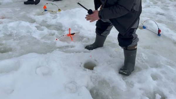 Поимки форели !!!