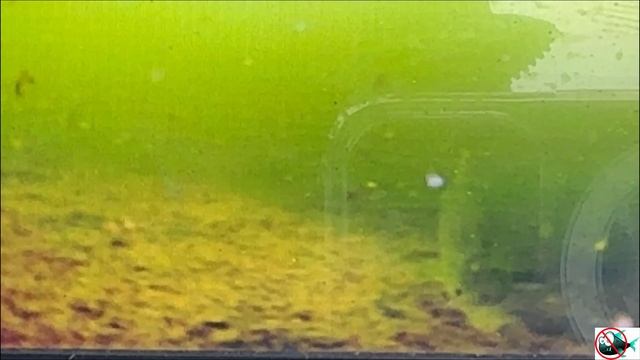 Неручь. Безмотылка. Зима. Дождь. 🐟❄️☃️