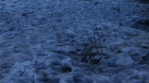 ✅ЗАБРАЛИСЬ НА ЗАБРОШКУ+ЗАЛЕЗ НА ЗАБРОШЕННУЮ ДОРОГУ УЛИТОК⚠️🔰