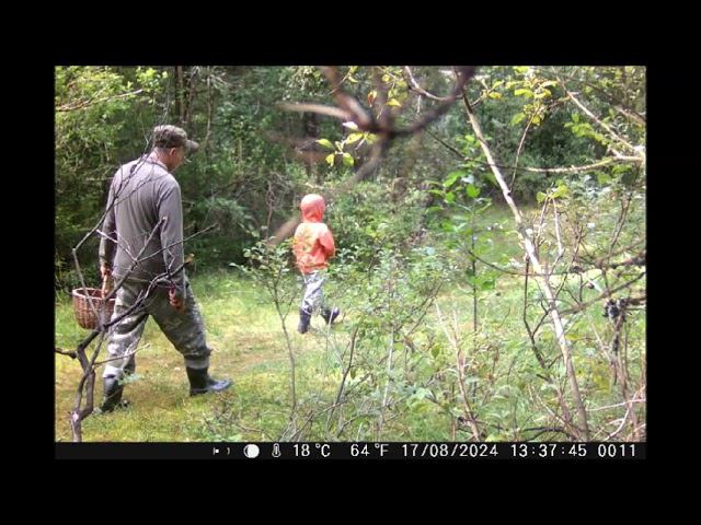 За Московским пляжем с 16 по 18 августа 2024