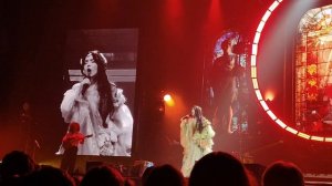 Огненный цветок VID20260213215649