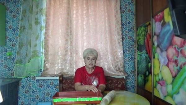 Посевы 2026. Зачем я мою перед посевом свои лотки для выращивания рассады?