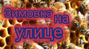 Зимовка пчёл на улице 🐝