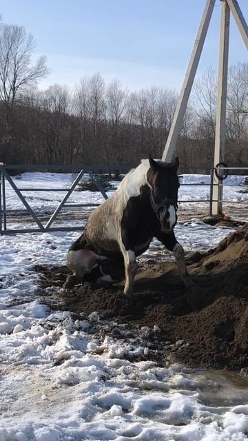1000425698.mp4 смотреть онлайн