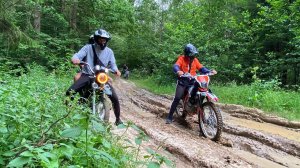 ЗАГНАЛИ ПИТ и АЛЬФУ в ГРЯЗЬ - ЛЮТЫЕ ПОКАТУШКИ с ПОДПИСЧИКАМИ по ЛЕСУ