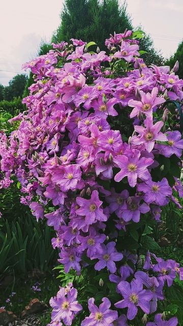 Кусочек яркого лета!🌺🌸🌹💕 смотреть онлайн