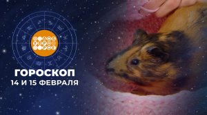 Гороскоп на 14 и 15 февраля. Доброе утро. Суббота. Фрагмент выпуска от 14.02.2026