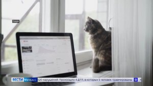 Удалёнка вместо больничного: «Вести-Кузбасс» изучили новый законопроект