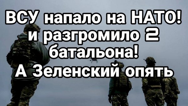 ВСУ НАПАЛО НА НАТО / ТАМИР ШЕЙХ. новости сводки