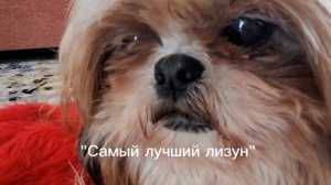 Нализал🤪😛