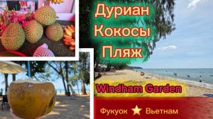 Дуриан. Кокосы. Пляж на Севере. Отель Windham Gảrden. Фукуок. Вьетнам. Отпуск зимой.
