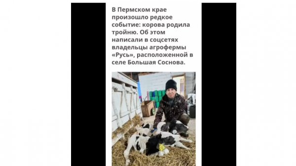 ПРЕДСКАЗАНИЯ СБЫВАЮТСЯ…