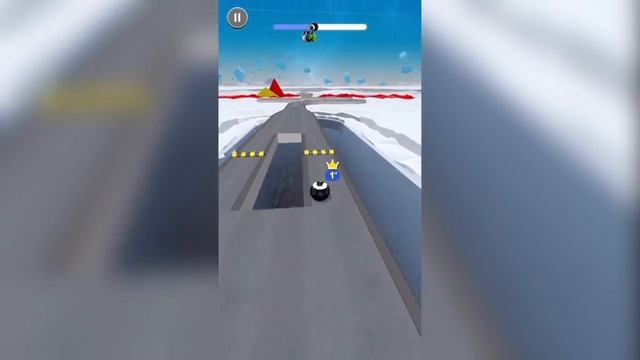 Race