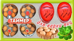 ТАЙМЕР ДЛЯ ВАРКИ ЯИЦ Арт: ALI3173455640