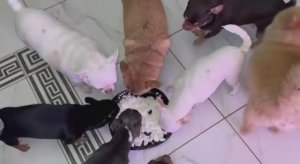 Утро начинаем с полезного перекуса.