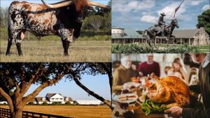 ДЖОН СТЕЙНБЕК - "ПУТЕШЕСТВИЕ С ЧАРЛИ в поисках АМЕРИКИ"(26)