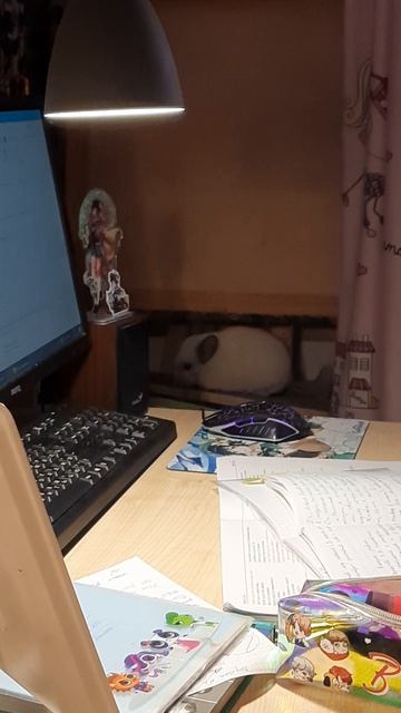 Шиншилла в детской смотреть онлайн