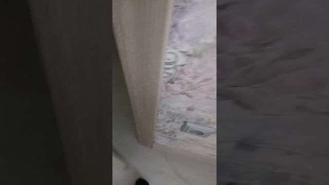 8209.mp4 смотреть онлайн