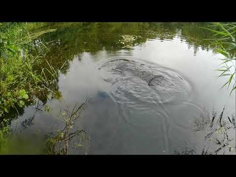 25 июля не удачная рыбалка