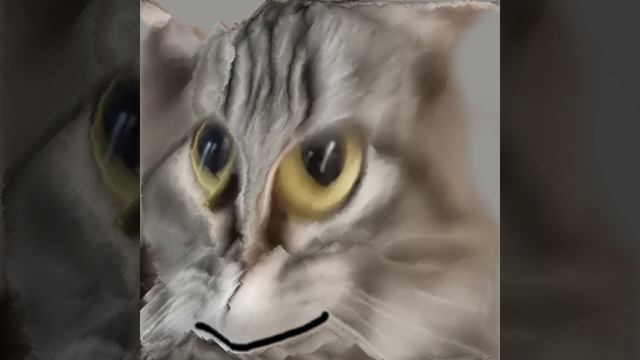 2 шуточные фаз