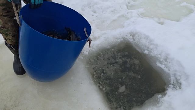 запуск 151 кг Форели в ПО "Водопад" смотреть онлайн