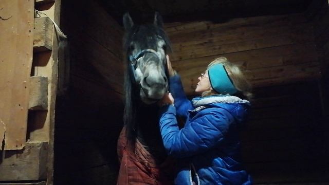 VID_20260213_192312.mp4