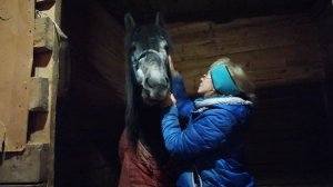 VID_20260213_192312.mp4