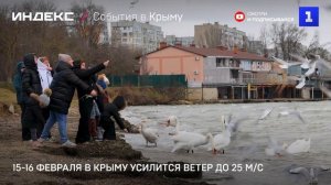 15-16 февраля в Крыму усилится ветер до 25 м/с