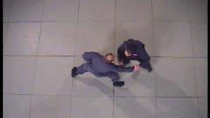 Кото рю коппо-дзюцу 2. Сихан Моти Натив