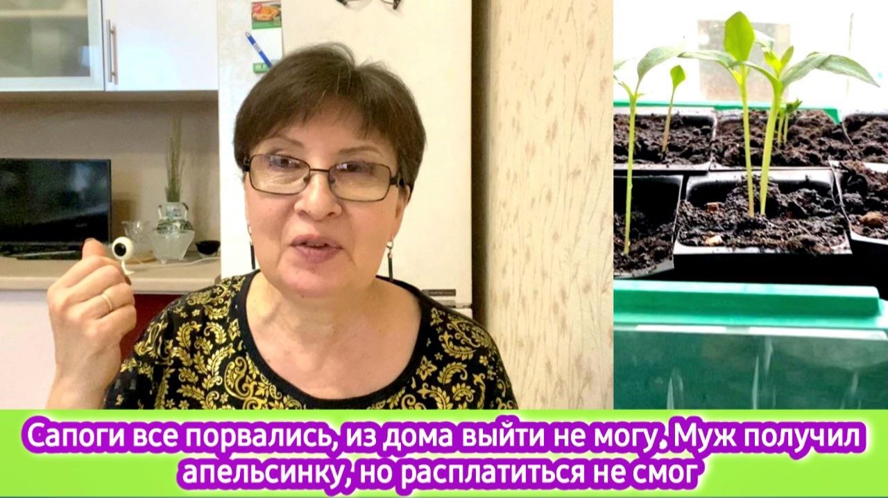 Сапоги все развалились, из дома выйти не могу. Муж получил апельсинки, но расплатиться не смог смотреть онлайн