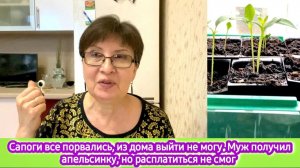 Сапоги все развалились, из дома выйти не могу. Муж получил апельсинки, но расплатиться не смог