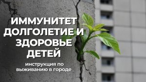 Инструкция по выживанию в городе. Дмитрий Вар и Егор Гамаюн