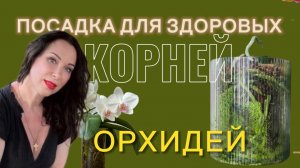 Красиво и природно пересадила азиатских подростков