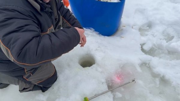 Поимки форели !!!