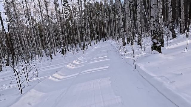 Трасса лыжного марафона ЕА 2026 за неделю до старта смотреть онлайн