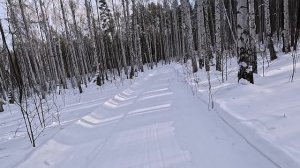 Трасса лыжного марафона ЕА 2026 за неделю до старта