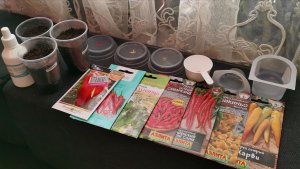 Сею острые перцы на рассаду Сезон 2026 и подкармливаю томаты для роста!