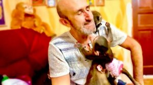 ВЕЗЕТ Владу! Степа ОБНИМАЕТ, Маня ПРИЛЬНУЛА, а енотик Тимошка ЦЕЛУЕТ)))