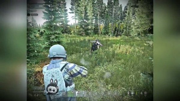 DayZ Fragmovie