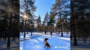 Подморозило