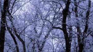 Тайна 15 февраля - Как изменить судьбу.