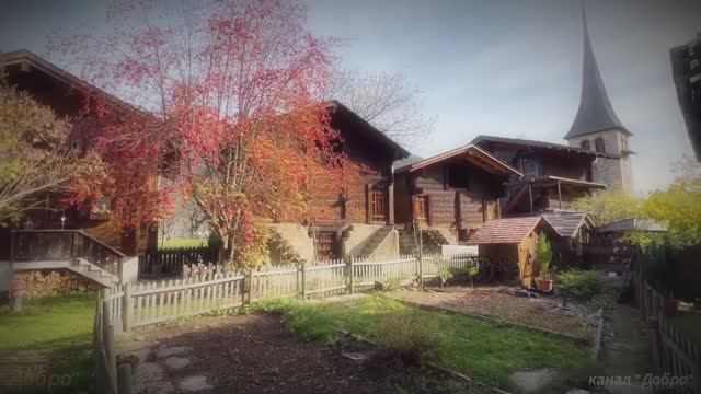 ТАИНСТВЕННЫЕ ЖИТЕЛИ ШВЕЙЦАРСКИХ ГОР! смотреть онлайн