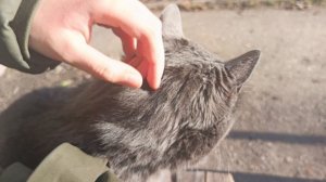 Какой красавец к нам пришёл!