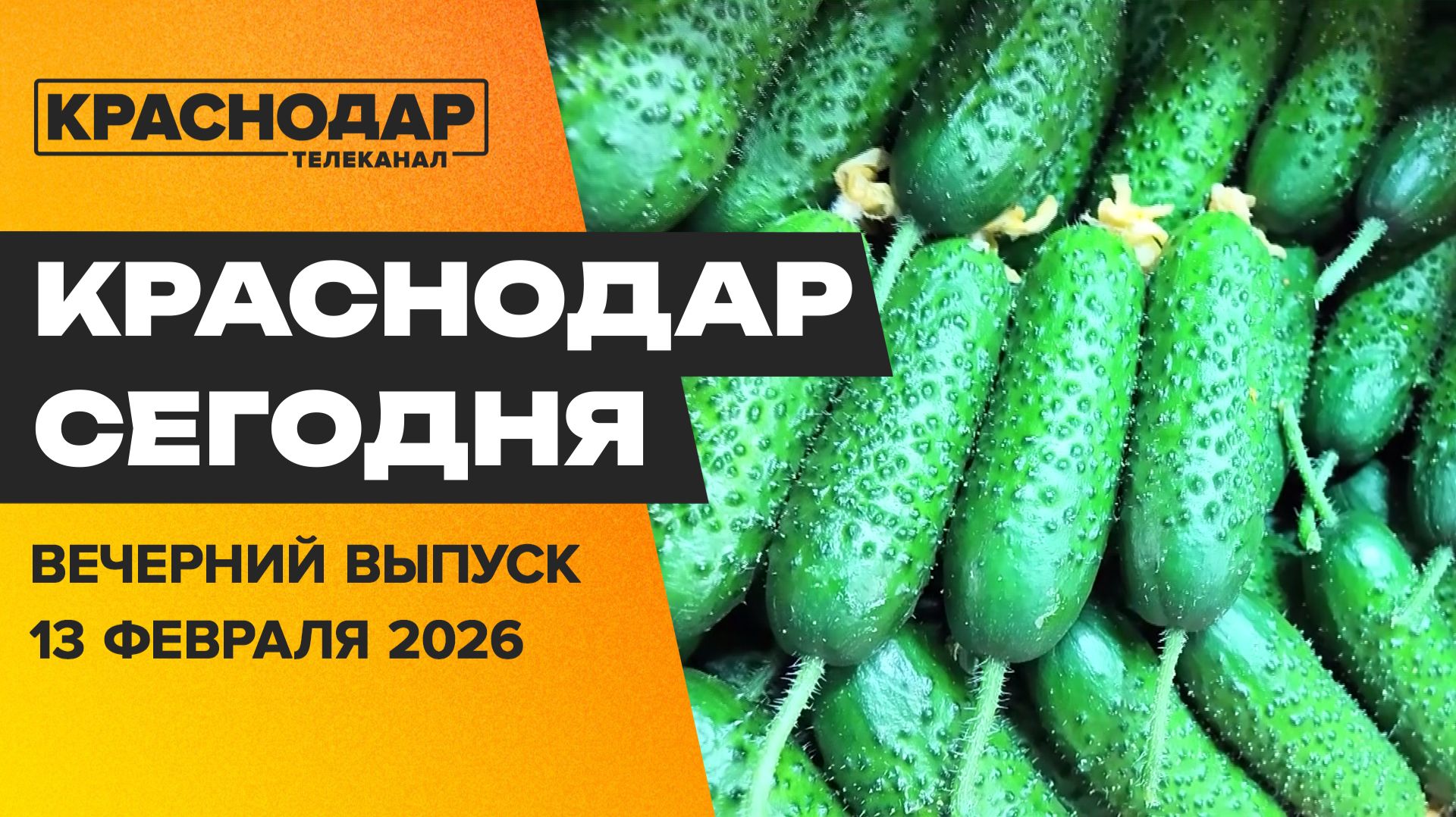 Модернизация электросетей края, золотые огурцы, финал фестиваля ГТО. Новости 13 февраля смотреть онлайн