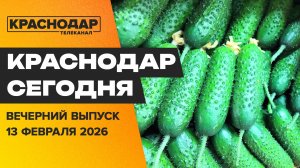 Модернизация электросетей края, золотые огурцы, финал фестиваля ГТО. Новости 13 февраля
