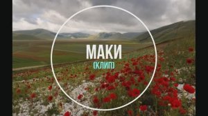 гр. "АРАКС" вокал Ю. Антонов