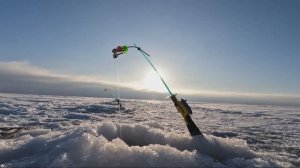 Смолячково. Корюшка. СПб. 2026