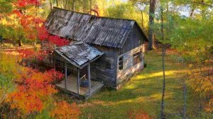 АРХИВ. Поиск хутора в осеннем лесу..