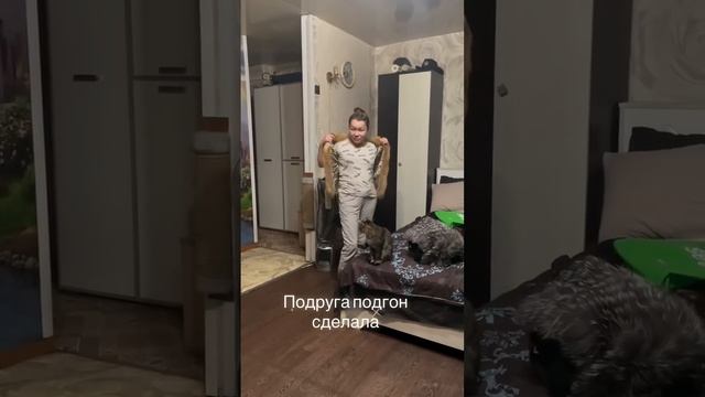 ШОПИНГ В ЮВЕЛИРНОМ! ИРИШКА ЧИКИ ПИКИ ВЫБИРАЕТ УКРАШЕНИЯ смотреть онлайн