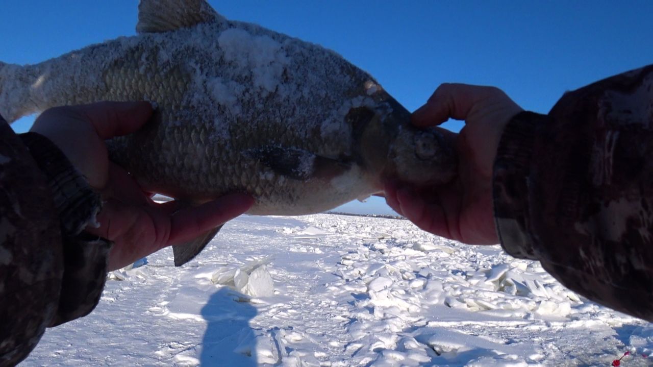Рыбалка на лещя зимой 2026. Рыбалка в астрахани смотреть онлайн